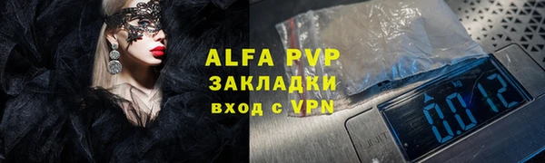 индика Арсеньев