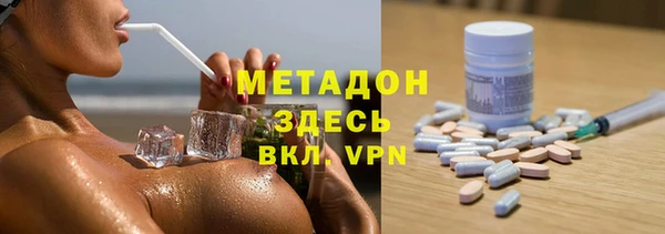 индика Арсеньев