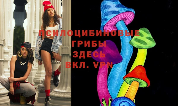 гашик Аркадак