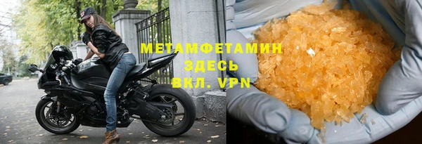 индика Арсеньев
