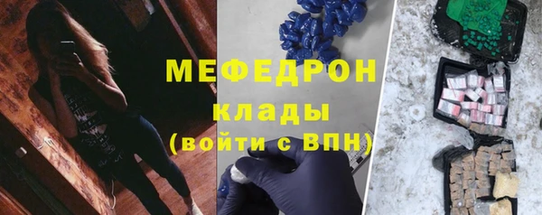 индика Арсеньев