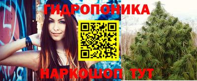 гидропоника Кулебаки