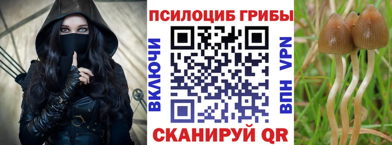 купить наркоту  Можга  Галлюциногенные грибы мухоморы 